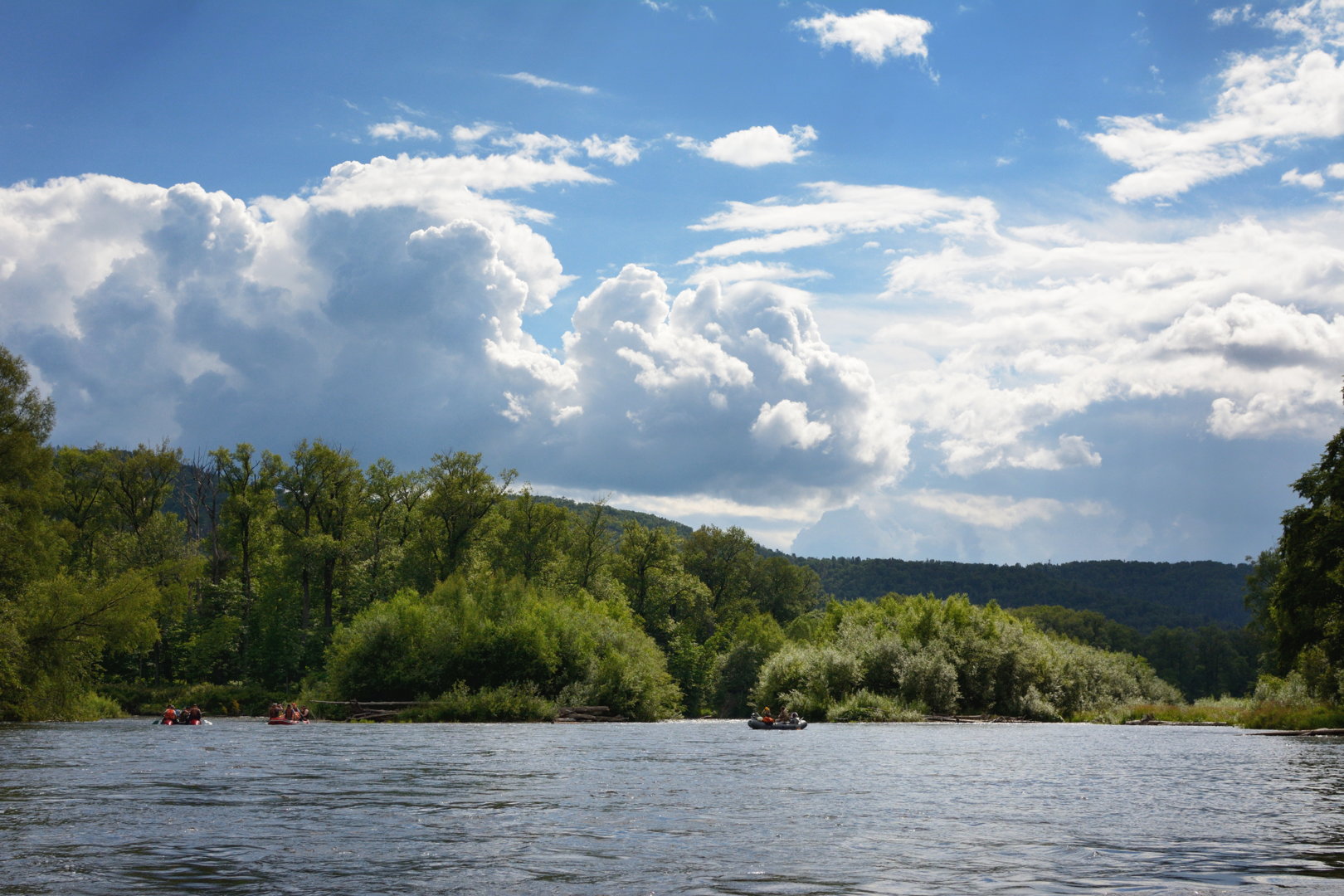splv_2020_0047.jpg