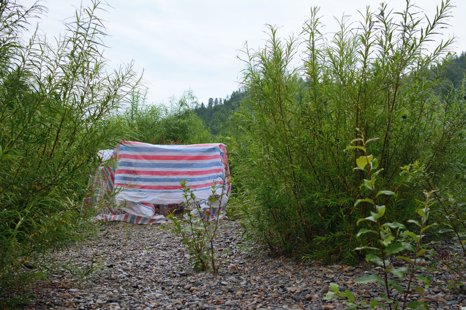splv_2020_0069.jpg