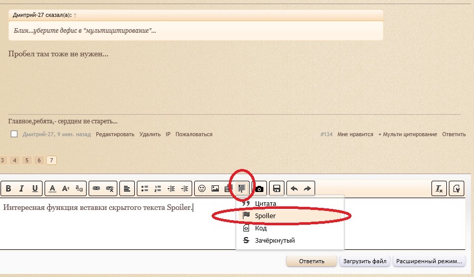 спойлер.jpg