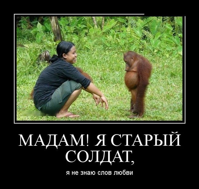 старый солдат.jpg