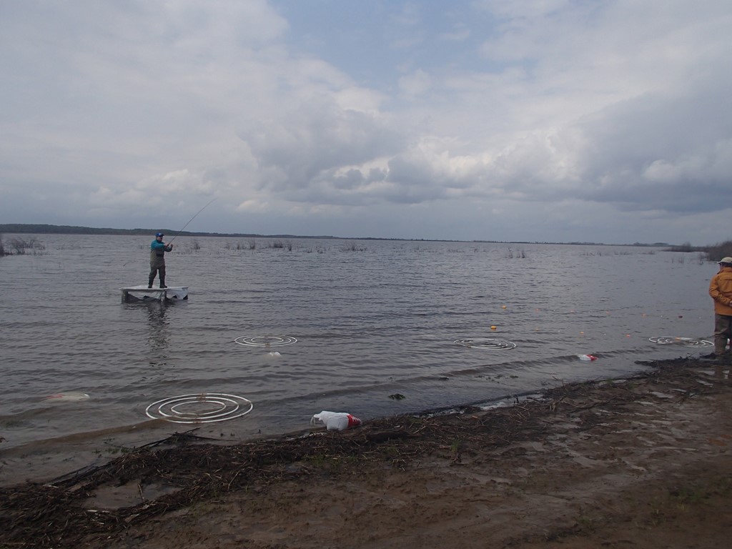 Стрельба на точность.JPG