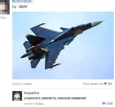 су-30см.jpg