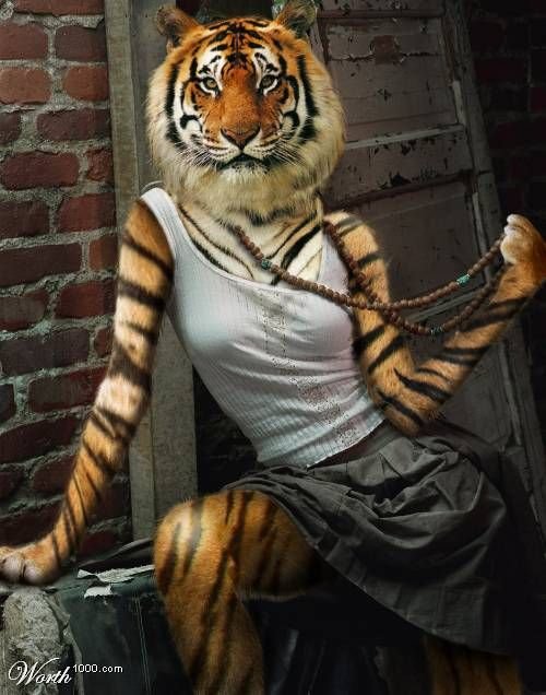 светская тигрица.jpg