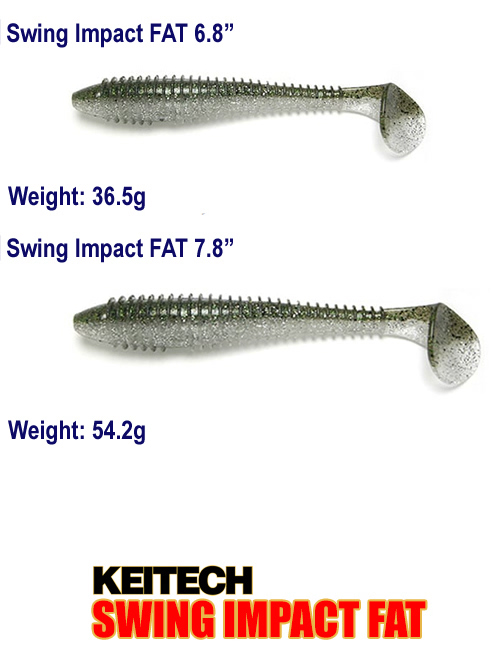 Swing Impact FAT size.jpg