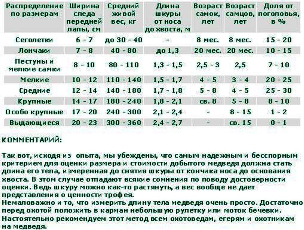 Таблица.JPG