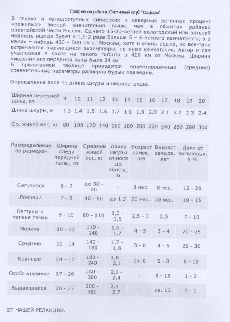таблица медведи 001.jpg