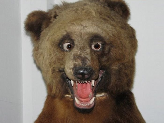 taxidermy_01.jpg