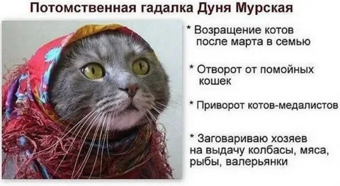 тб.jpg