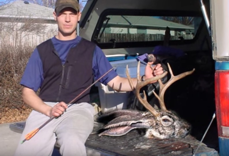 The JACKALOPE rabbit.jpg