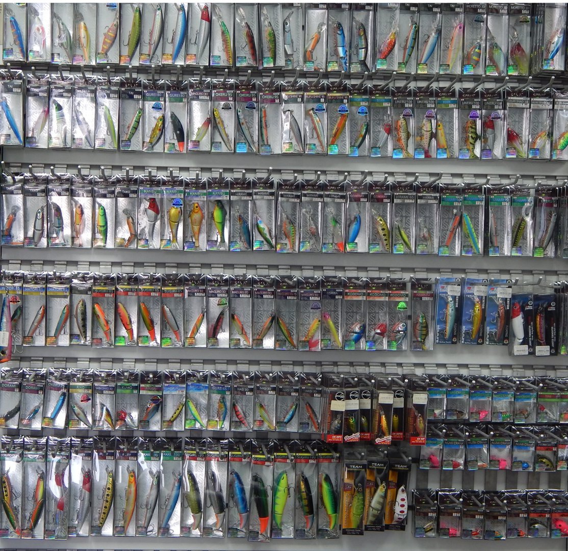 только sprut.jpg