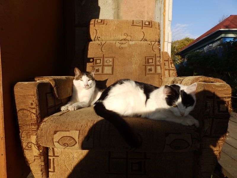 Тоня и Мотя.JPG