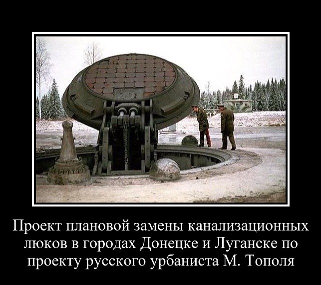 тополь.jpg