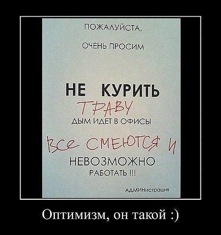 трава.jpg