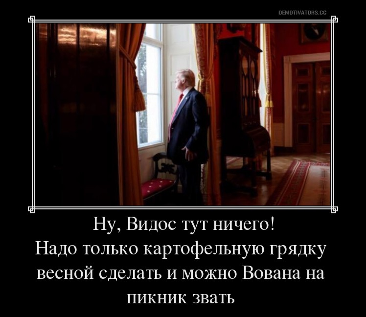 трмп.jpg