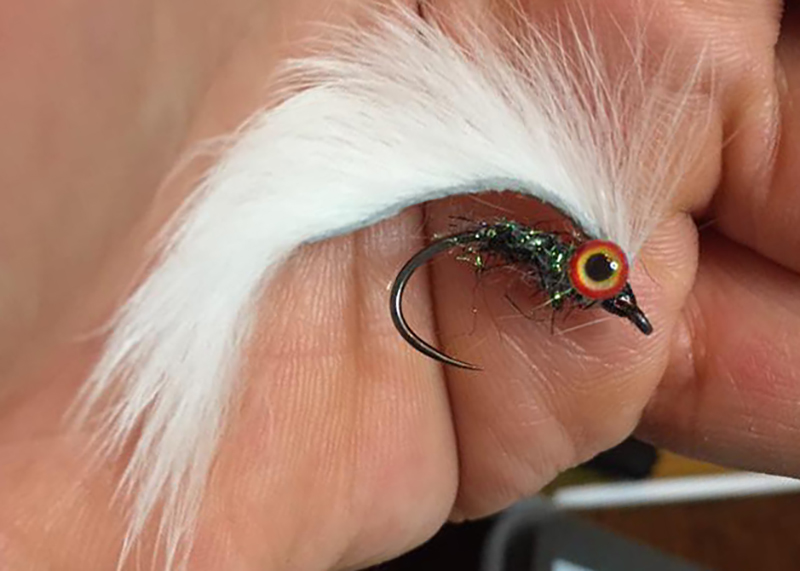 Trout Sream.jpg