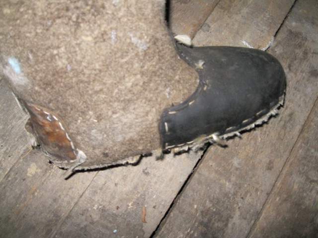 u_2b1d2d868cd57e89617ea3857f69d540_800.jpg