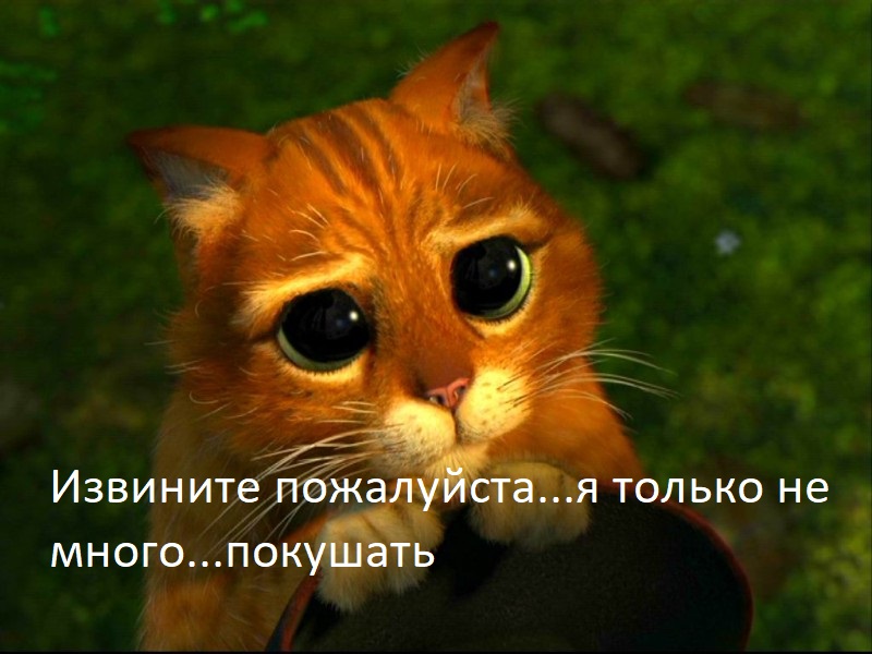 u_d7fd2fb756fd0e88c139a73d0a7653ea_800.jpg
