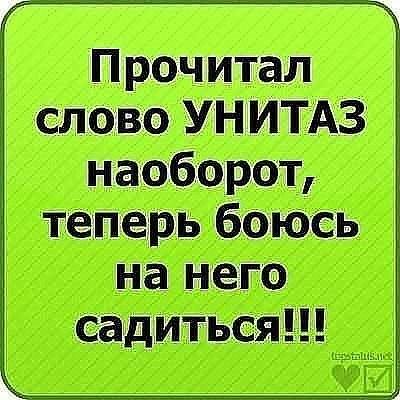 унитаз.jpg