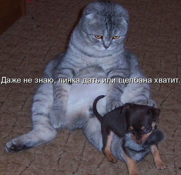upload_2015-4-17_9-46-17.png