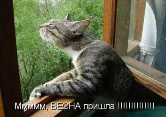upload_2015-4-9_14-44-36.png