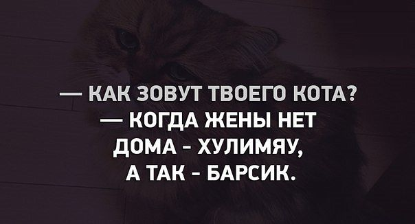 upload_2015-4-9_17-18-7.png