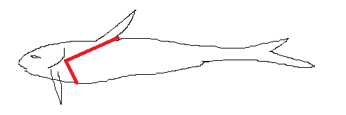 upload_2015-7-28_14-28-20.png