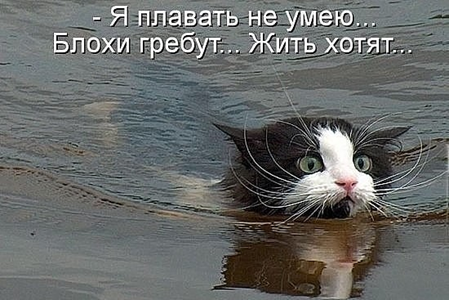 upload_2015-7-6_9-14-34.png