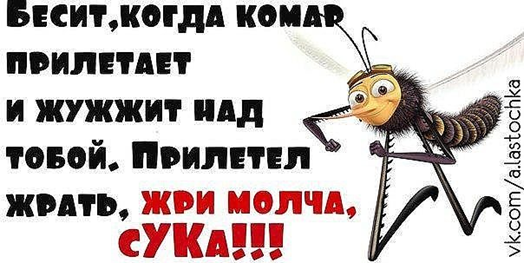 upload_2015-8-20_9-1-35.png