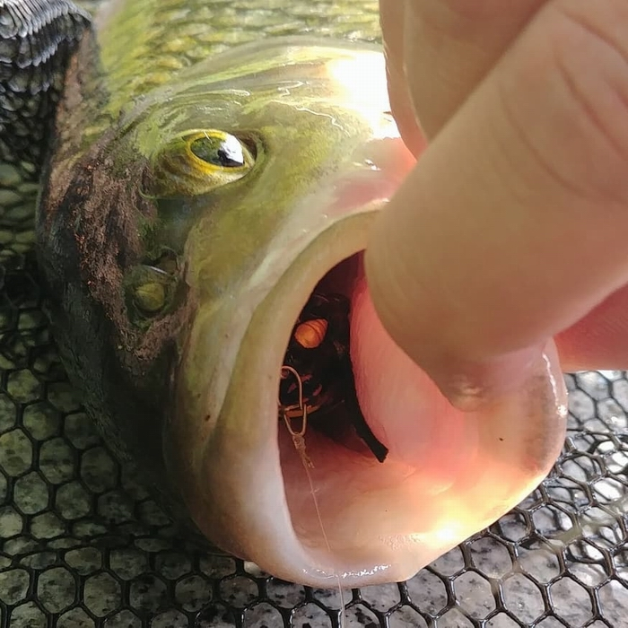 upload_2019-5-24_10-48-52.png