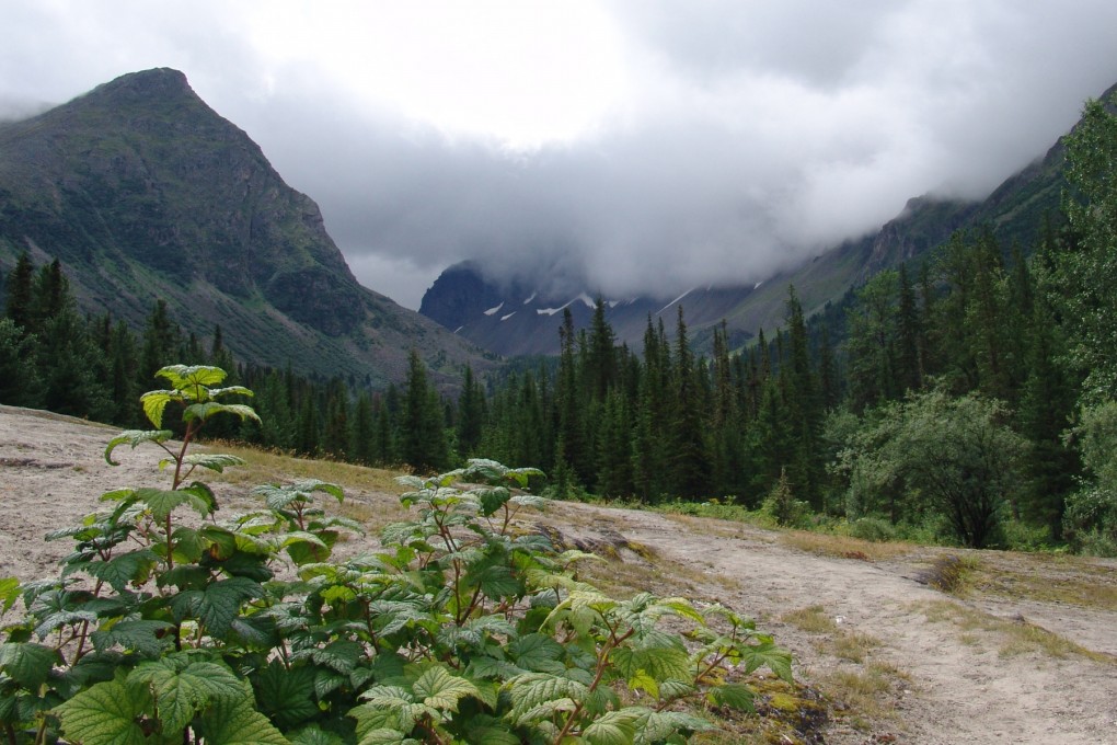 ущелье Архобом.jpg