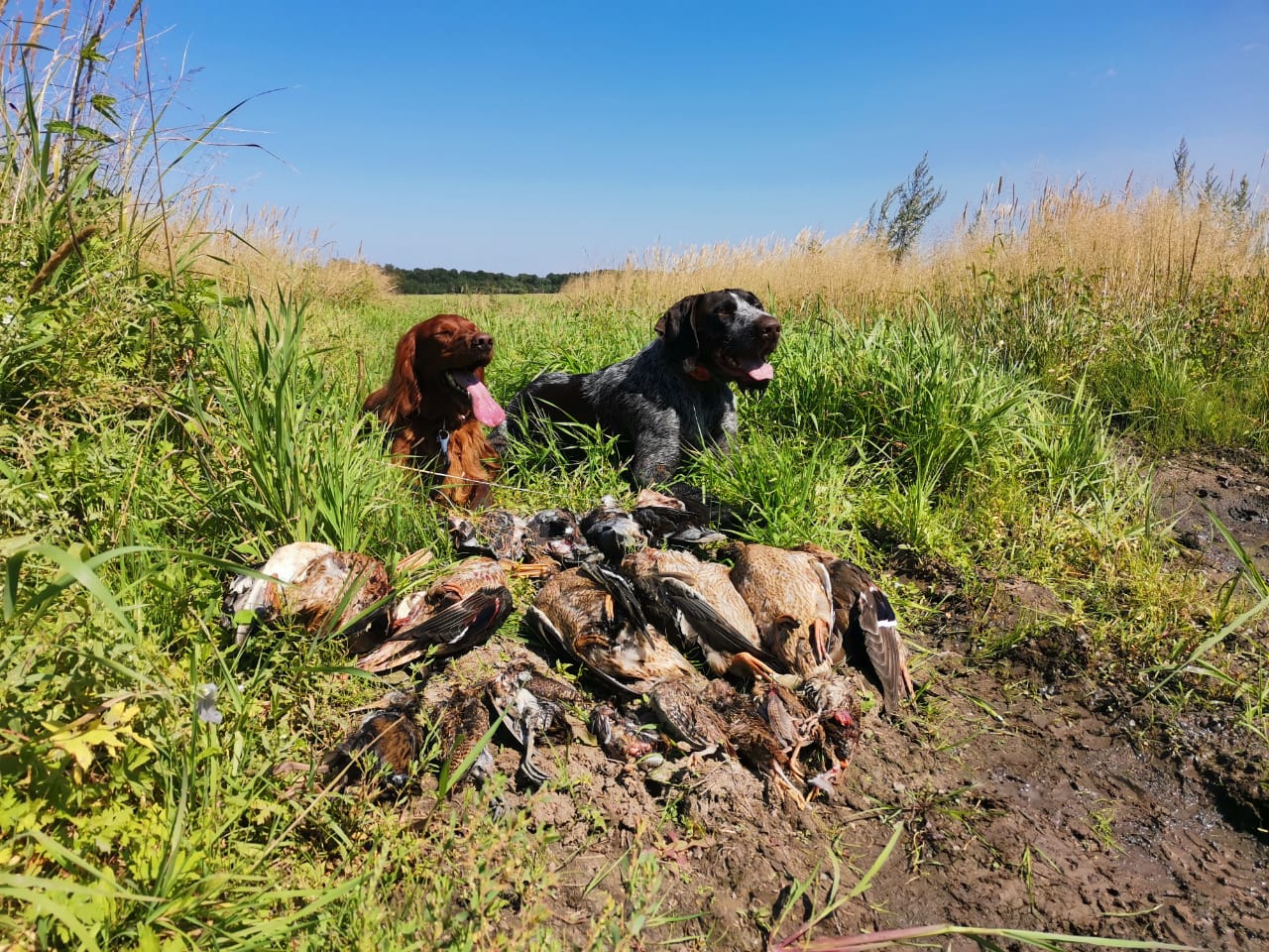 Уставшие но довольные.jpg