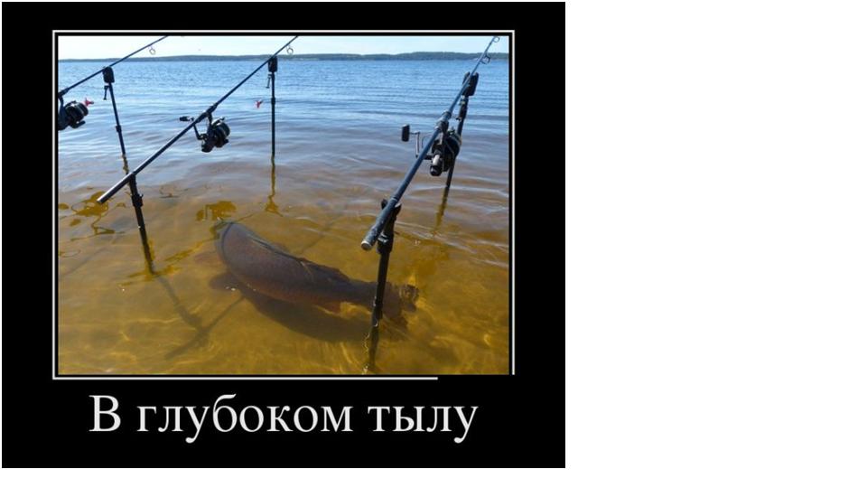В глубоком тылу.JPG