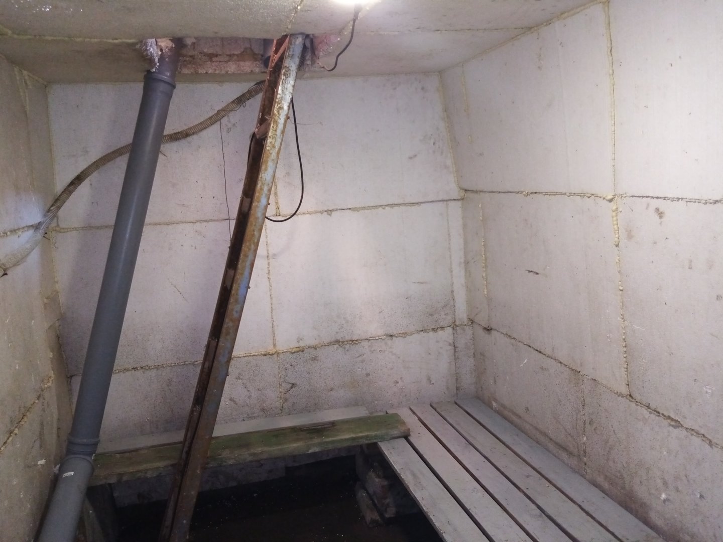 в погребе.jpg