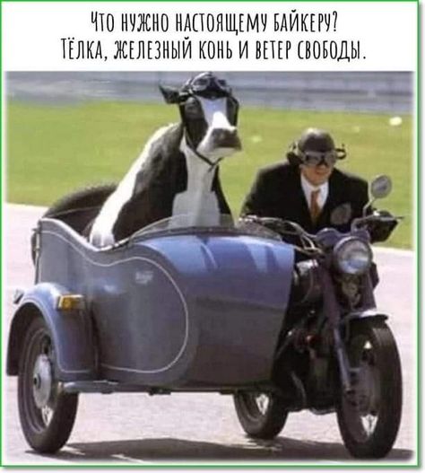 ваирп.jpeg
