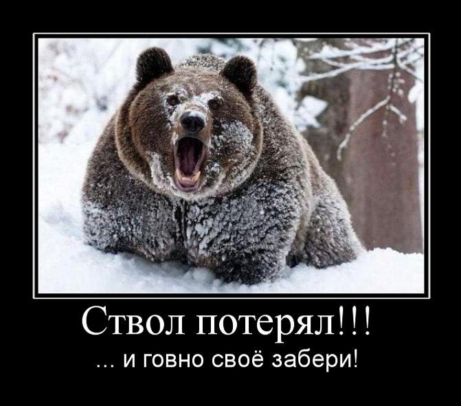 ведмедь..jpg