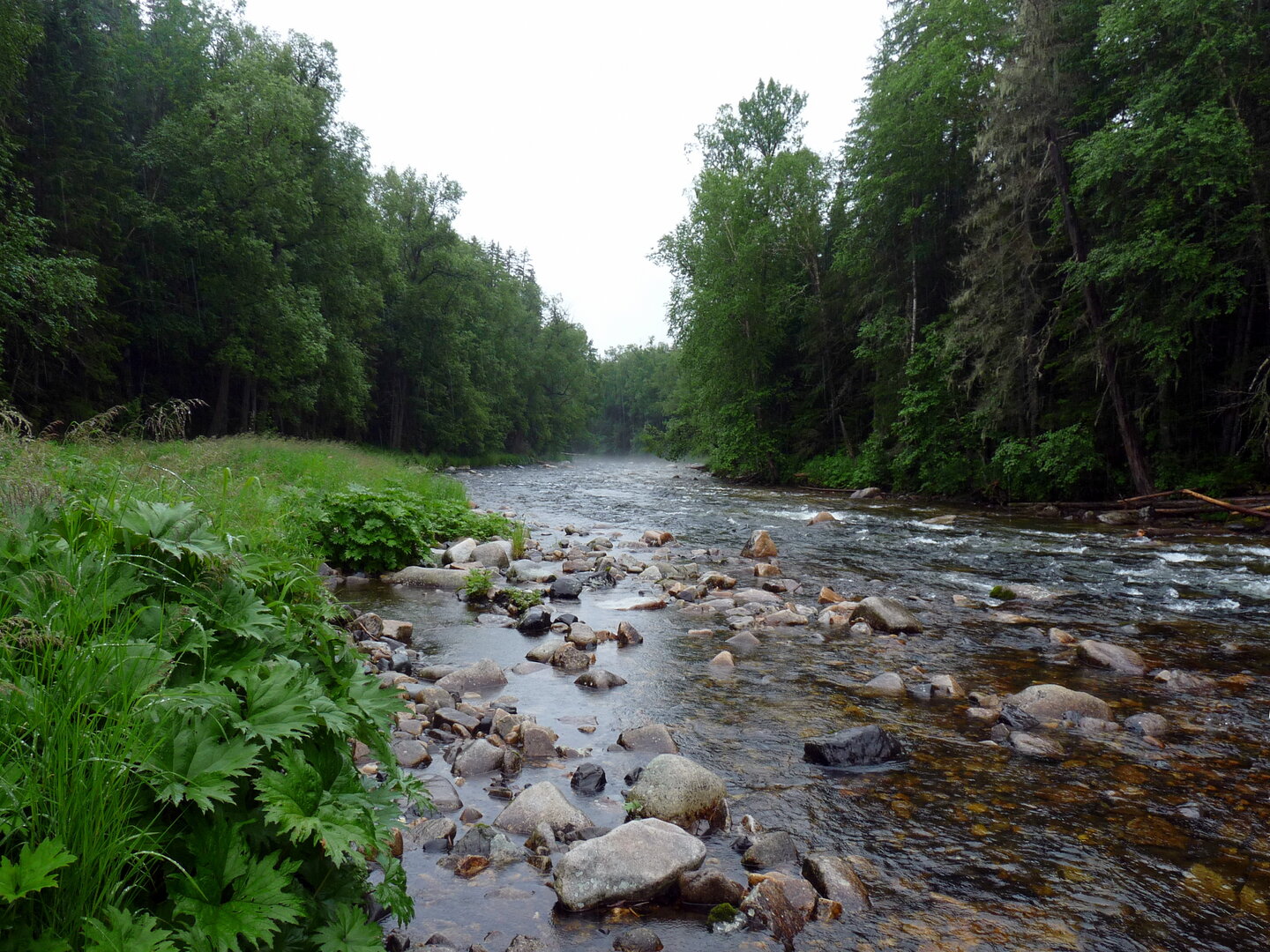 Верховья реки Анюй.jpg