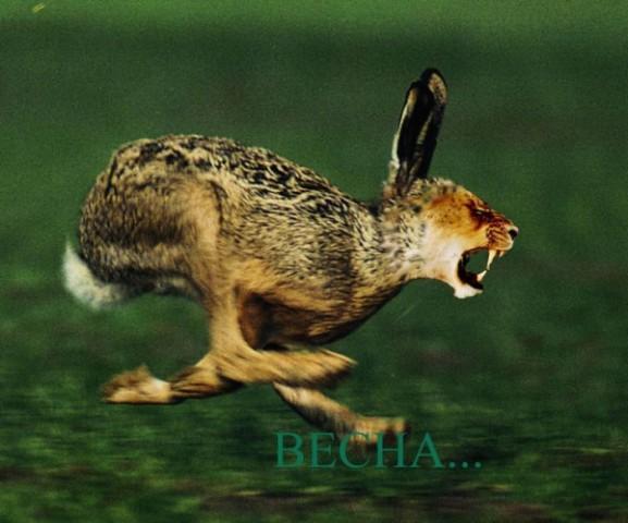 весна.jpg