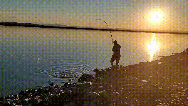 VID-20240603-WA0043_1_.gif