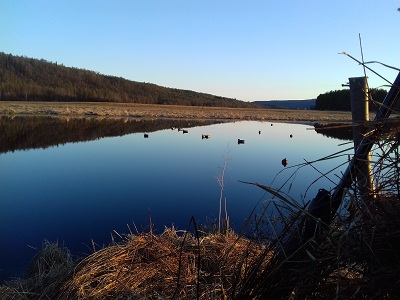 вид из шалаша.jpg