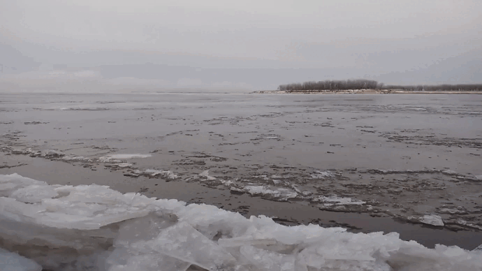 VID_20231106_090407.gif