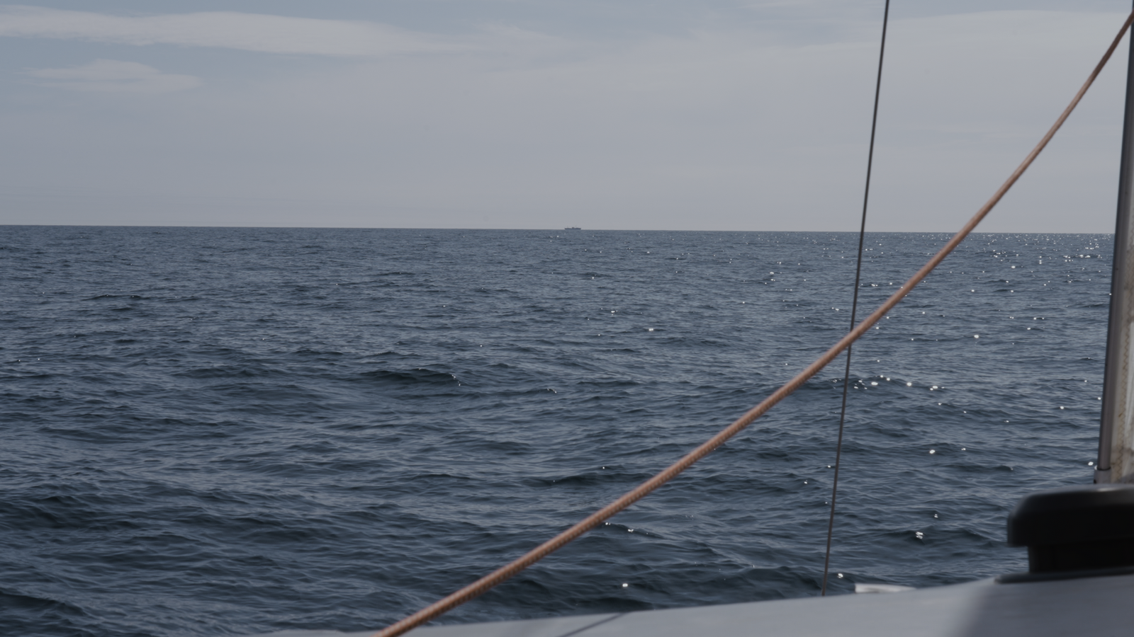 Video.01_37_18_14.Still003.png