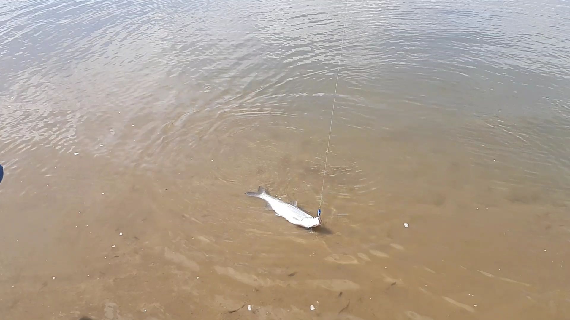 VideoCapture_20190421-072235.jpg