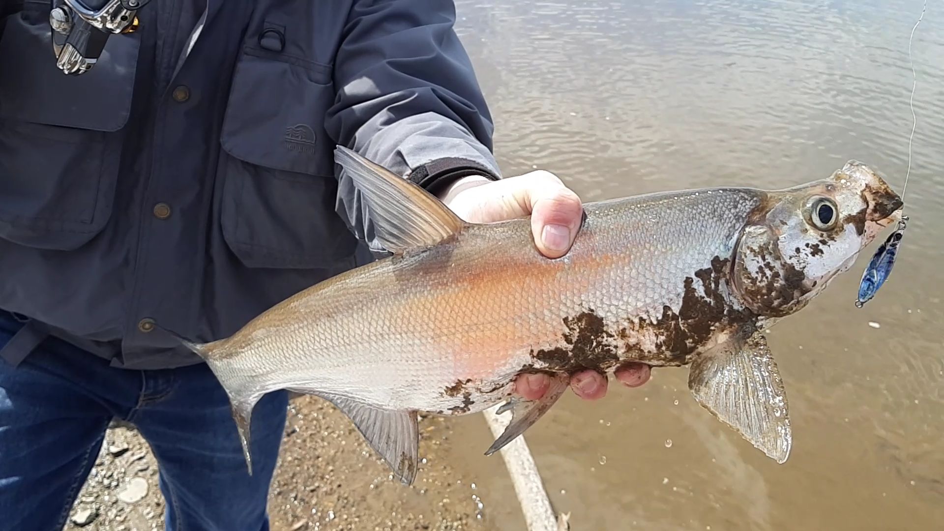 VideoCapture_20190421-072302.jpg