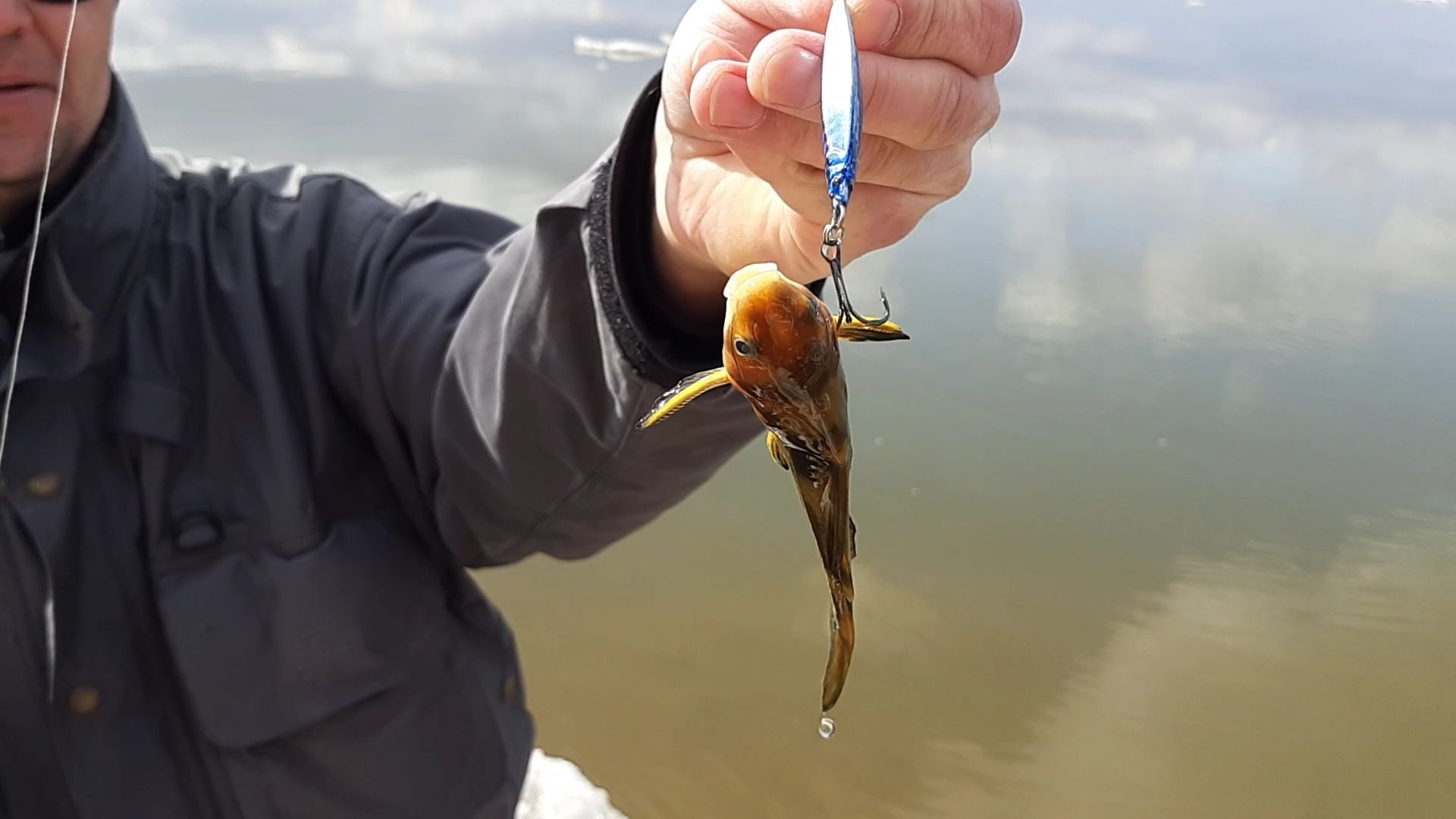 VideoCapture_20190421-083410.jpg