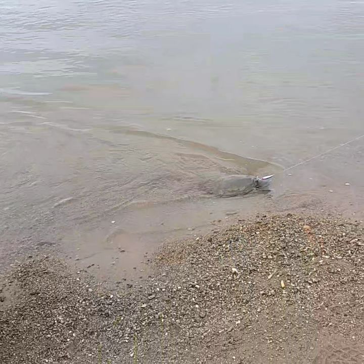 VideoCapture_20230507-122047.jpg