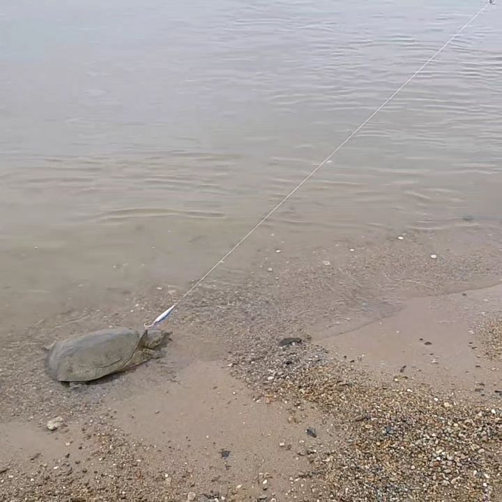 VideoCapture_20230507-122121.jpg