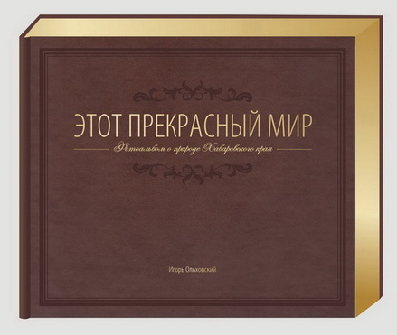 VIP обложка-2.jpg