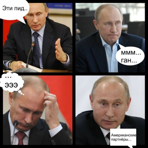 vp1_thumb_medium490_.jpg