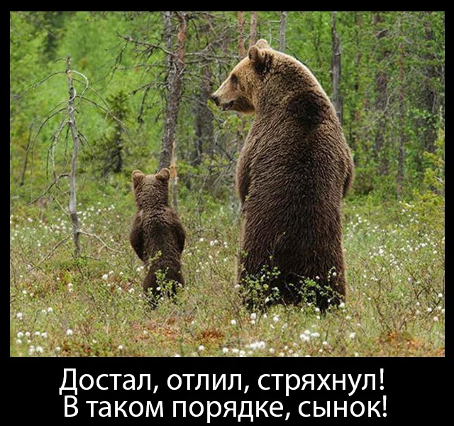 впа.jpg