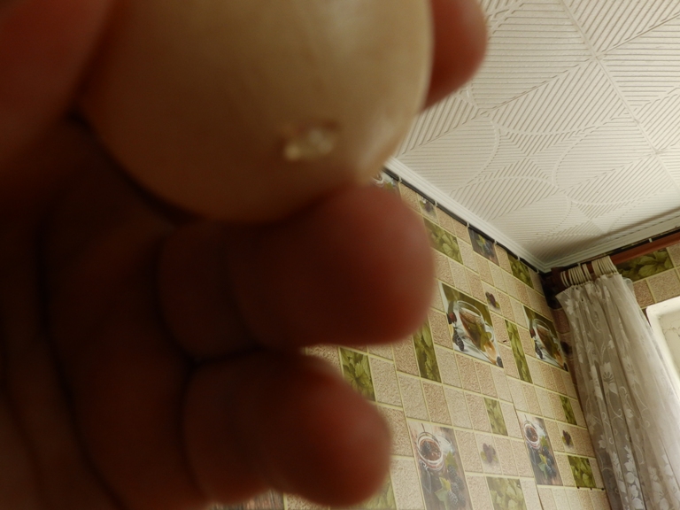 вскрыл низ.JPG